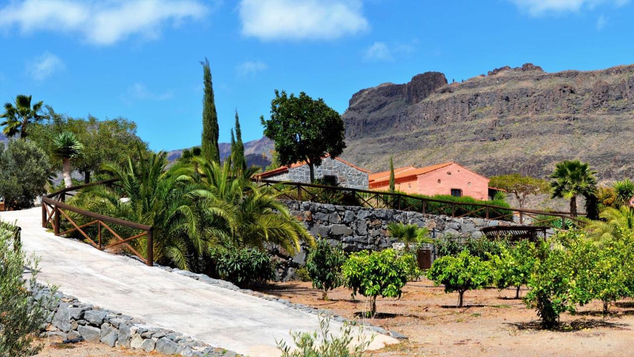 Finca Las Olivas - Unique Country House With Heated Pool Maspalomas  Exterior photo